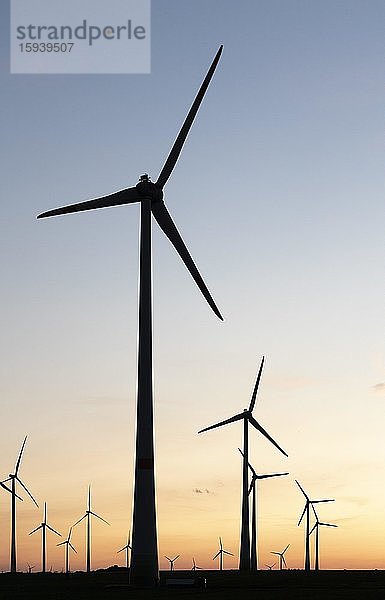 Windräder im Sonnenuntergang  Deutschland  Europa