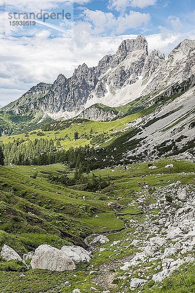 Wanderweg von der Adamekhütte zur Hofpürglhütte  Ausblick auf Bergkamm mit Berggipfel Große Bischofsmütze  Salzkammergut  Oberösterreich  Österreich  Europa