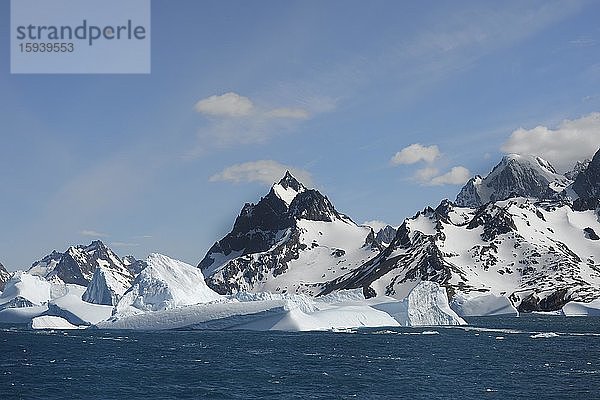 Schwimmende Eisberge vor Berggipfeln mit Schnee  Drygalski-Fjord  Südgeorgien  Südgeorgien und die Sandwich-Inseln  Antarktis  Antarktika