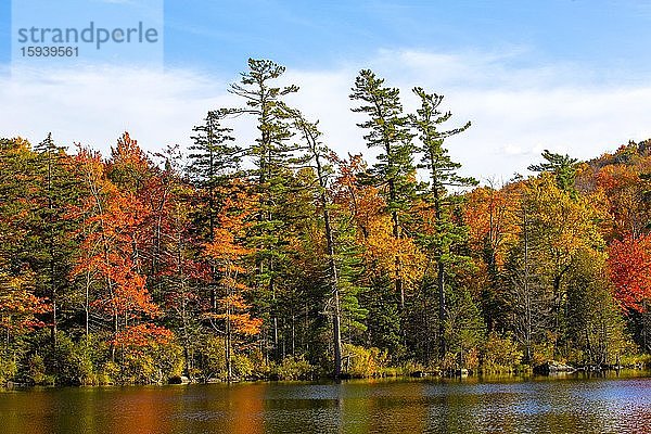 Baker Pond im Herbst  Eastern Townships  West Bolton  Quebec  Kanada  Nordamerika