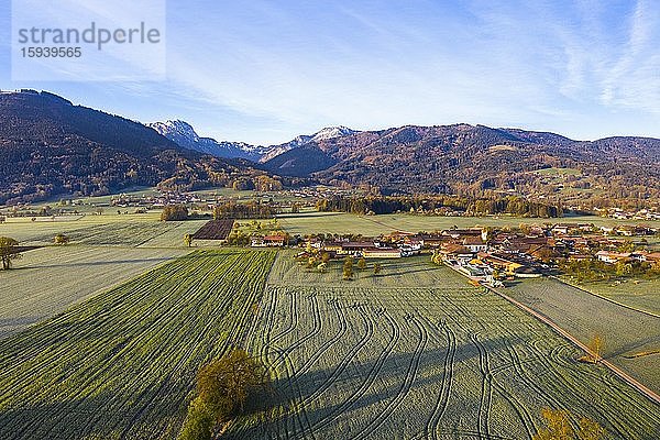 Dorf Wiechs bei Bad Feilnbach  hinten Berg Wendelstein  Mangfallgebirge  Luftbild  Alpenvorland  Oberbayern  Bayern  Deutschland  Europa