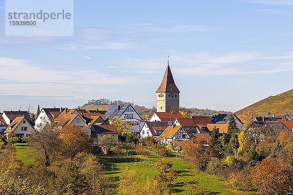 Dorfansicht von Steinreinach im Herbst  Korb-Steinreinach  Remstal  Baden-Württemberg  Deutschland  Europa
