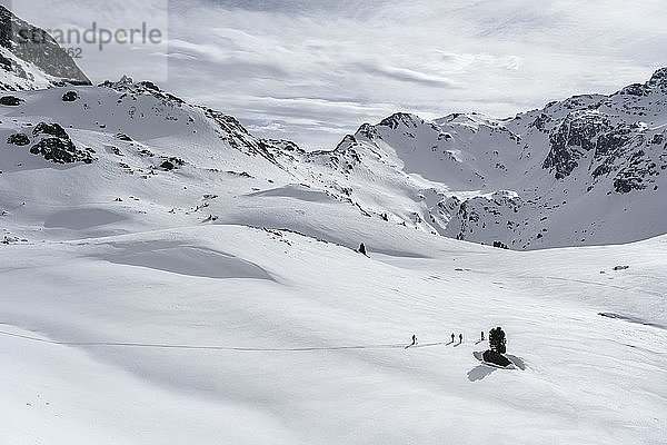 Skitourengeher queeren einen flachen Hang  Wattentaler Lizum  Tuxer Alpen  Tirol  Österreich  Europa