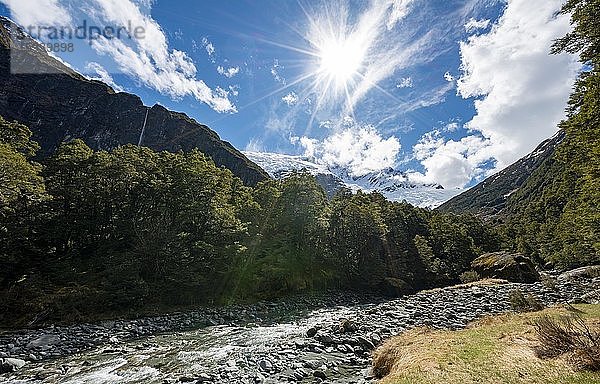 Bob Roy Stream  Gletscherfluss fließt durch Berglandschaft  hinten Rob Roy Gletscher  Mount Aspiring National Park  Otago  Südinsel  Neuseeland  Ozeanien