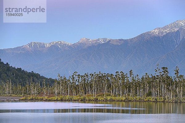 Lagune des Quinlin Creek am Gillespies Beach  Abendhimmel  hinten subtropischer Wald und neuseeländische Alpen  Westland National Park  West Coast  Neuseeland  Ozeanien