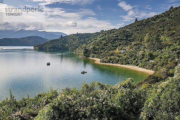 Boote  Sandstrand  Marlborough Sounds  Südinsel Neuseeland