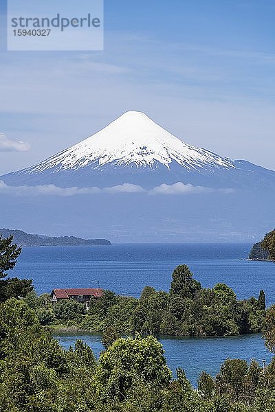 Vulkan Osorno und See von Llanquihue  Puerto Octay  Region de los Lagos  Chile  Südamerika