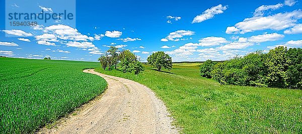 Feldweg durch Kulturlandschaft im Frühling  grünes Getreidefeld und Heuwiese  blauer Himmel mit Cumuluswolken  Bäume und Feldgehölze  bei Hermsdorf  Saale-Holzland-Kreis  Thüringen  Deutschland  Europa