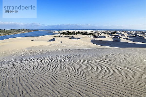 Sanddünen am Sundays River  Alexandria Dune Fields  Ostkap  Südafrika
