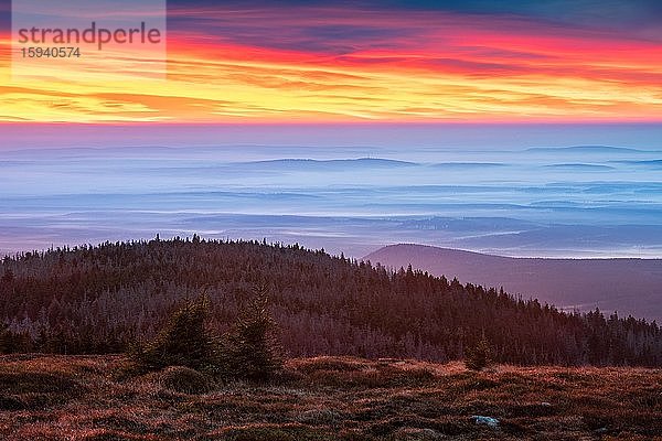 Morgenrot auf dem Brocken  Aussicht über Hügel und Wälder mit Talnebel  Nationalpark Harz  Sachsen-Anhalt  Deutschland  Europa
