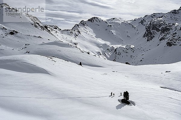 Skitourengeher queeren einen flachen Hang  Wattentaler Lizum  Tuxer Alpen  Tirol  Österreich  Europa