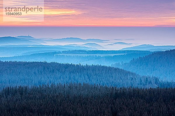 Aussicht über Hügellandschaft mit Talnebel bei Sonnenuntergang  Nationalpark Harz  Niedersachsen  Deutschland  Europa