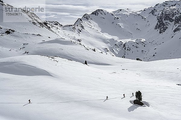 Skitourengeher queeren einen flachen Hang  Wattentaler Lizum  Tuxer Alpen  Tirol  Österreich  Europa