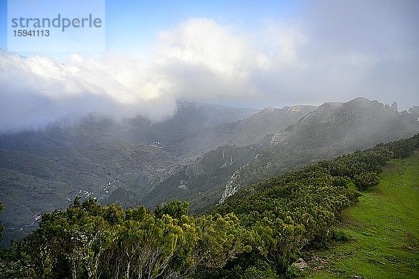 Nebelwolken über dem Regenwald  La Gomera  Kanaren  Spanien  Europa