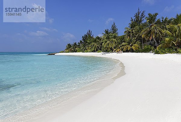 Sandstrand  breit  weiß  Palmen  Summer Island  Nord-Malé-Atoll  Malediven  Asien