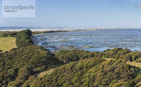 Strauchbewuchs vor Strandlagune mit Sanddünen  Farewell Spit  Puponga  Collingwood  Tasman  Südinsel  Neuseeland  Puponga  Collingwood  Tasman  Südinsel  Neuseeland  Ozeanien