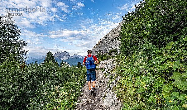 Wanderer auf Wanderweg  Wanderweg zum Lago di Sorapis  hinten Berggruppe Cadinspitzen  Cima Cadin  Dolomiten  Belluno  Italien  Europa