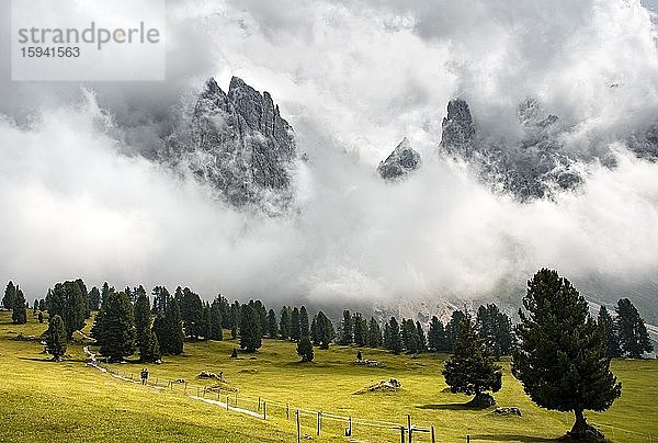 Wolkenverhangene Berggipfel  Geislergruppe  Gschnagenhardt Alm  Villnösstal  Dolomiten  Südtirol  Italien  Europa