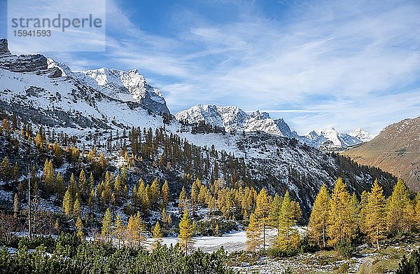 Schneebedeckte Berggipfel  Spitzkarspitze  Dreizinkenspitze und Laliderspitze  gelb verfärbte Lärchen im Herbst  Wanderung zur Hahnenkamplspitze  Engtaltal  Karwendel  Tirol  Österreich  Europa