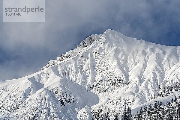 Schneekopf tief verschneit  Karwendel-Gebirge  Tirol  Österreich  Europa