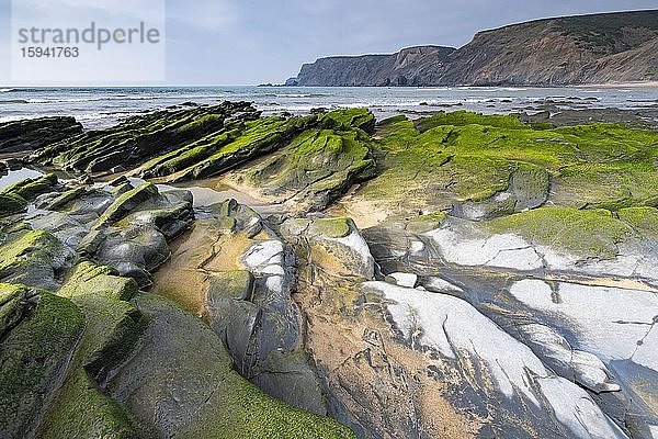 Grün bewachsene schräg geschichtete Steine an der Atlantikküste  Algarve  Portugal  Europa