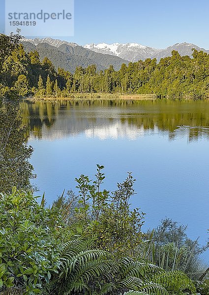 Subtropischer Wald und Bergipfel unter blauem Himmel spiegeln sich im See  Südalpen  Westland National Park  Whataroa  West Coast  Neuseeland  Ozeanien