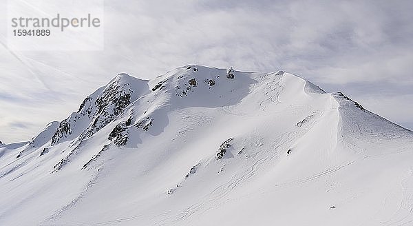 Mölser Sonnenspitze mit Skispuren und Gipfelkreuz  Schneebedeckte Berge  Wattentaler Lizum  Tuxer Alpen  Tirol  Österreich  Europa