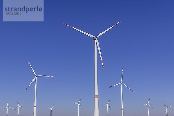 Windräder vor blauem Himmel  Windpark  Baden-Württemberg  Deutschland  Europa
