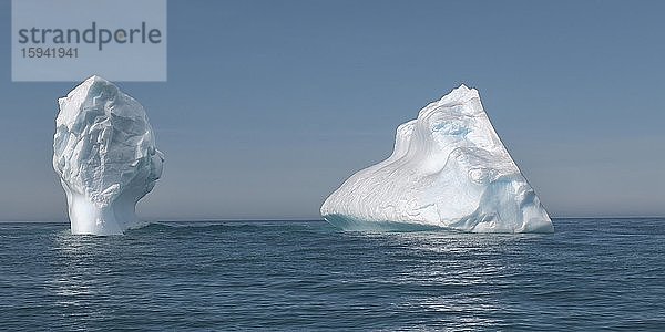 Ocean Harbour  schwimmende Eisberge  Südgeorgien  Antarktis  Antarktika