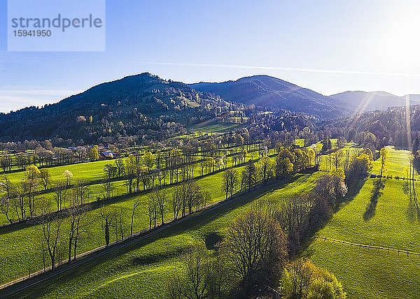 Heckenlandschaft im Isartal bei Gaißach  hinten Sonntratn  Isarwinkel  Drohnenaufnahme  Oberbayern  Bayern  Deutschland  Europa