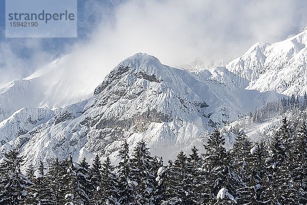 Bärenkopf im Winter  Karwendel-Gebirge  Tirol  Österreich  Europa