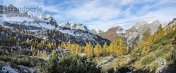 Schneebedeckte Spitzkarspitze  Dreizinkenspitze  Laliderspitze und Gamsjoch  gelb verfärbte Lärchen im Herbst  Wanderung zur Hahnenkamplspitze  Engtal  Karwendel  Tirol  Österreich  Europa