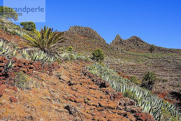 Felsiger Wanderweg  Tacalcuse  bei San Sebastian  La Gomera  Kanaren  Spanien  Europa