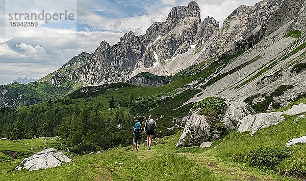 Zwei Wanderer auf markiertem Wanderweg von der Adamekhütte zur Hofpürglhütte  Bergkamm mit Berggipfel Große Bischofsmütze  Salzkammergut  Oberösterreich  Österreich  Europa