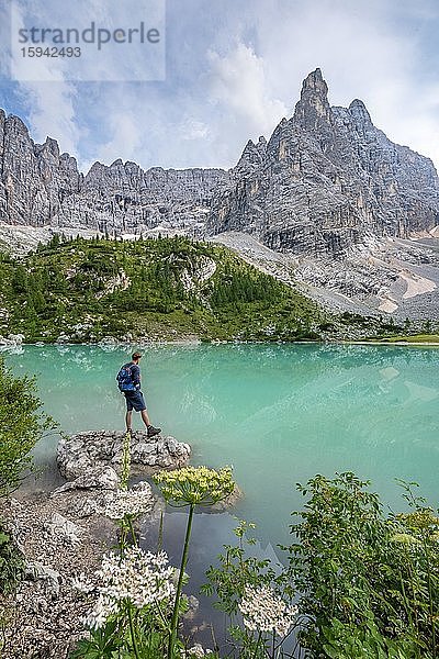 Junger Mann Wanderer am türkisgrünen Sorapissee mit Blumen  Lago di Sorapis  Bergspitze Dito di Dio  Dolomiten  Belluno  Italien  Europa