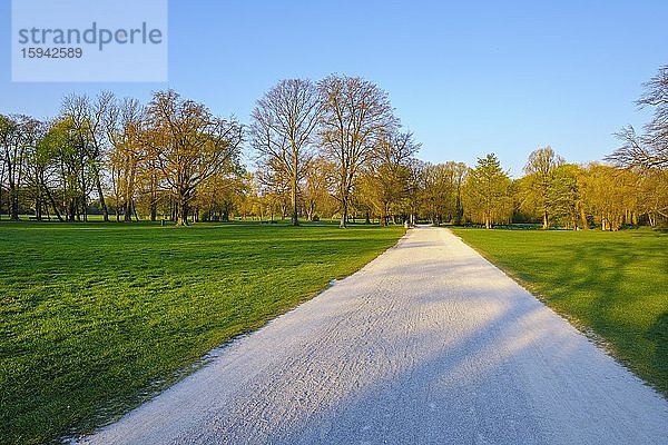 Fußweg im menschenleeren Englischen Garten  Ausgangssperre  München  Oberbayern  Bayern  Deutschland  Europa