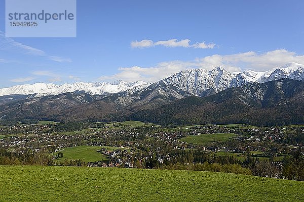 Vortatragraben und Berge der Hohen Tatra  Zakopane  Tatra  Kleinpolen  Polen  Europa