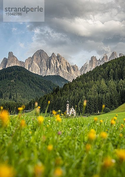 Kirche St. Johann in Ranui mit Blumenwiese  San Giovanni  Johanneskapelle  Geislergruppe  Villnößtal  St. Magdalena  Bozen  Südtirol  Italien  Europa