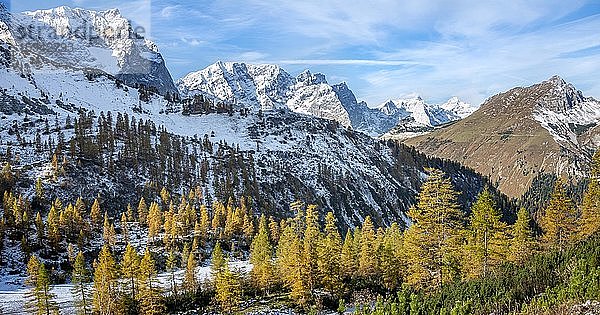 Schneebedeckte Spitzkarspitze  Dreizinkenspitze und Laliderspitze  gelb verfärbte Lärchen im Herbst  Wanderung zur Hahnenkamplspitze  Engtal  Karwendel  Tirol  Österreich  Europa