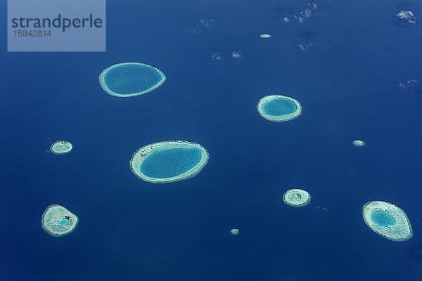 Kleine Ringriffe  Reste versunkener Inseln  Vaavu Atoll oder Felidhu Atoll  Indischer Ozean  Malediven  Asien
