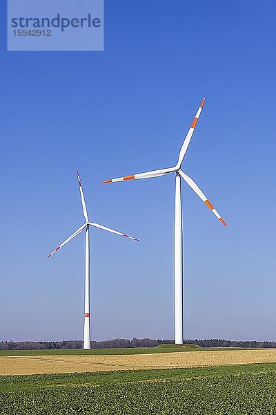 Windkrafträder vor blauem Himmel  Schwäbische Alb  Baden-Württemberg  Deutschland  Europa