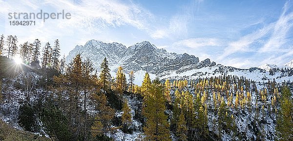 Schneebedeckte Berggipfel  Lamsenspitze  Schafkarspitze und Mitterspitze  gelb verfärbte Lärchen im Herbst  Wanderung zur Hahnenkamplspitze  Engtal  Karwendel  Tirol  Österreich  Europa