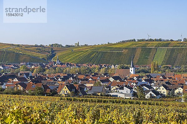 Nordheim am Main und hinten Escherndorf  Volkacher Mainschleife  Mainfranken  Unterfranken  Franken  Bayern  Deutschland  Europa