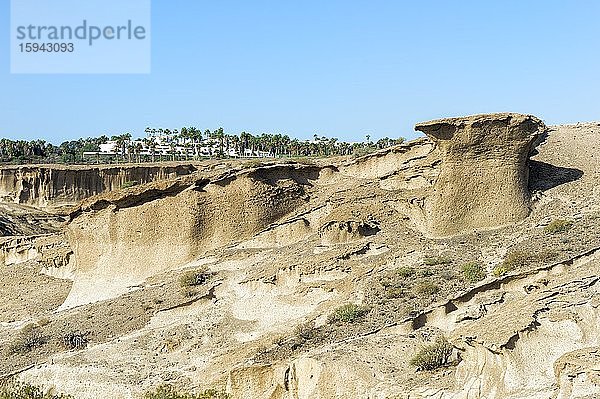 Naturschutzgebiet San Blas  San Miguel de Abona  Teneriffa  Kanarische Inseln  Spanien  Europa