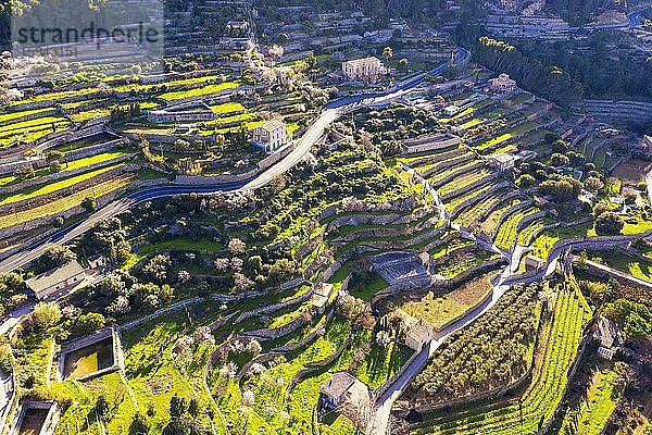 Terrassenfelder in Banyalbufar  Serra de Tramuntana  Luftbild  Mallorca  Balearen  Spanien  Europa