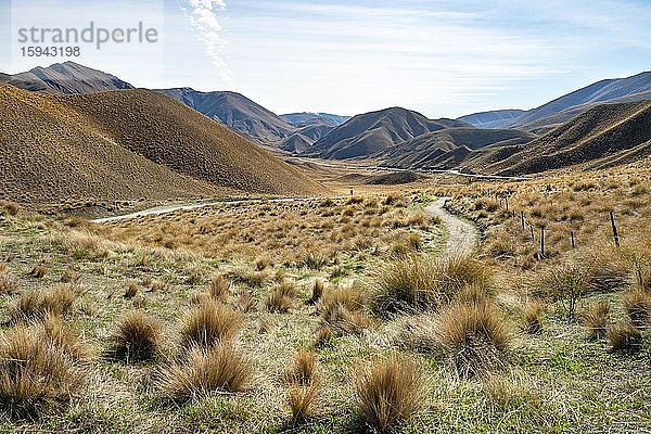 Karge Berglandschaft mit Grasbüscheln  Lindis Pass  Südliche Alpen  Otago  Südinsel  Neuseeland  Ozeanien