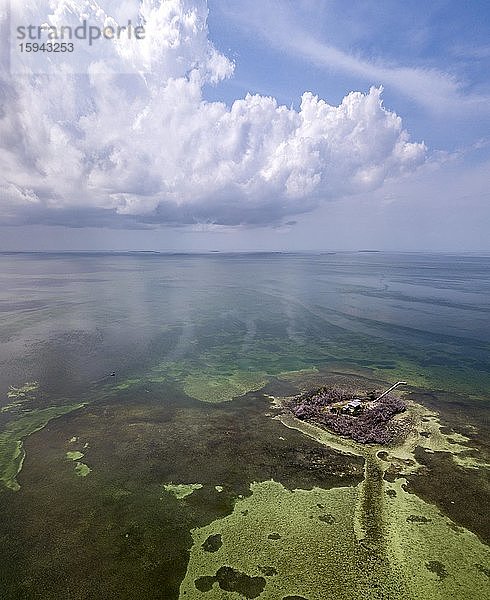 Little Money Key  Florida Keys  Florida  USA  Nordamerika