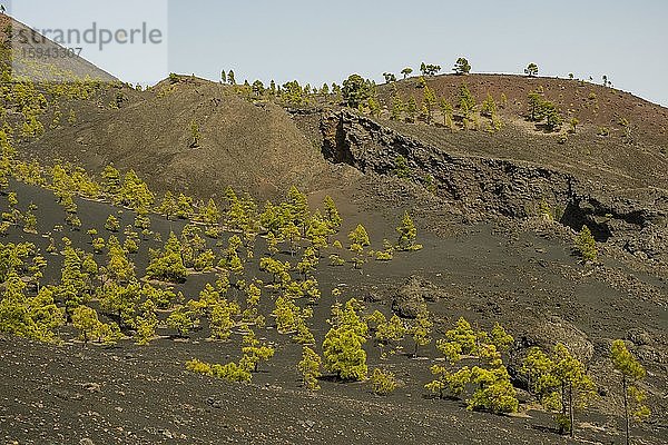 Ausblick am Wanderweg zum Vulkan Martín  Cumbre Vieja bei Fuencaliente  La Palma  Kanarische Inseln  Kanaren  Spanien  Europa