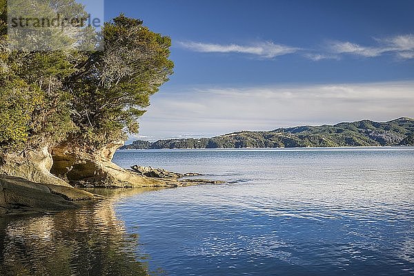 Tinline Bay  Abel Tasman Coastal Track  Abel Tasman National Park  Takaka  Tasman  Südinsel Neuseeland