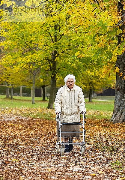 Seniorin mit Rollator geht in einem herbstlichen Park spazieren  Österreich  Europa